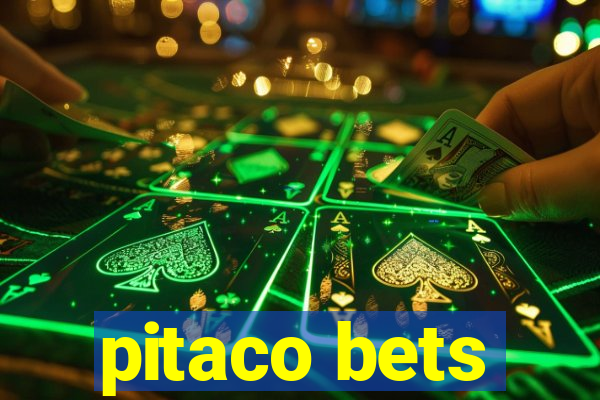 pitaco bets